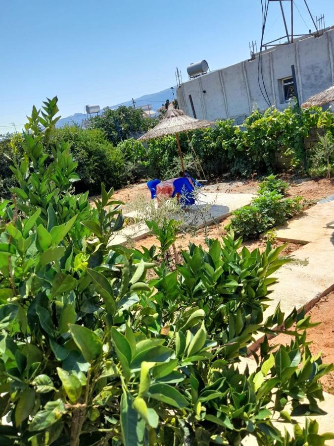 Rey Garden Villa Vlorë Extérieur photo