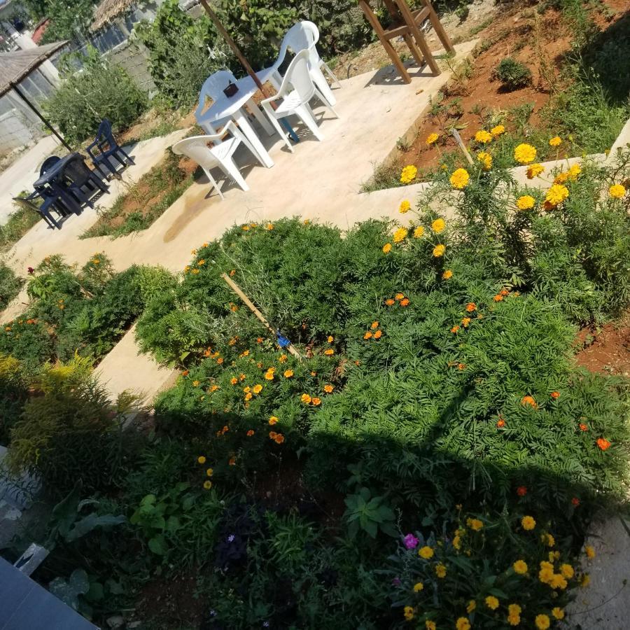 Rey Garden Villa Vlorë Extérieur photo
